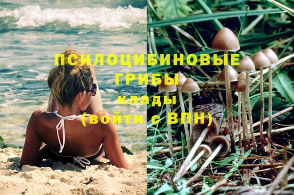 гашик Бугульма